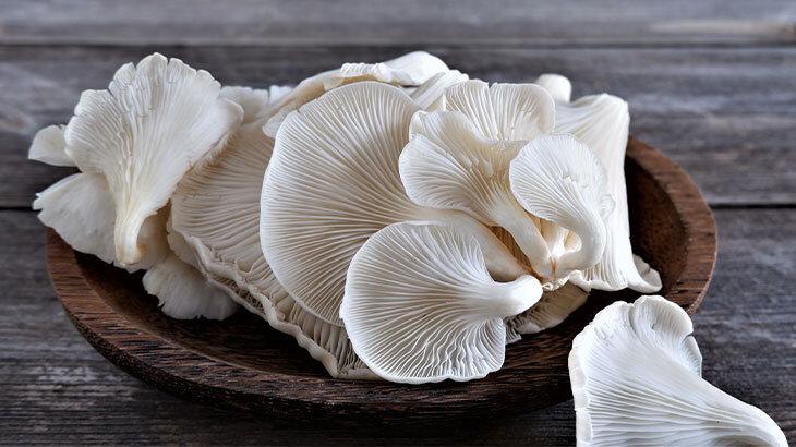 İstiridye Mantarı: En Zarif Dokunuş